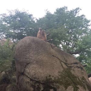 Meet your Posher, Macy